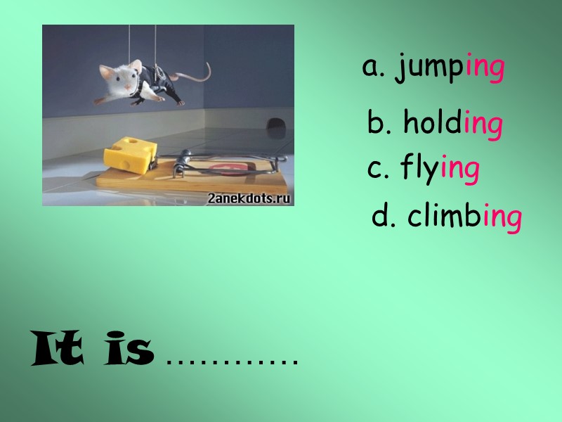 It is ………… a. jumping b. holding c. flying d. climbing